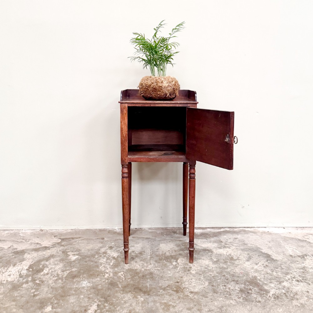An antique mahogany pot cupboard featuring a single panelled door, brass ring handle, gallery back, and slender turned legs. View III