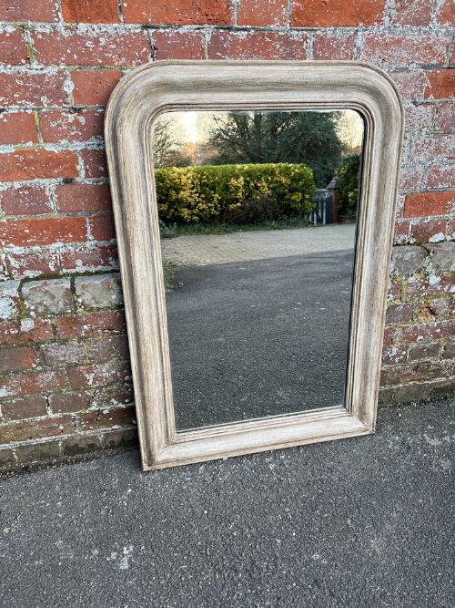 A Delightful Antique French 19th Century Carved Wood & Gesso Arched Top Painted Louis Philippe Mirror.