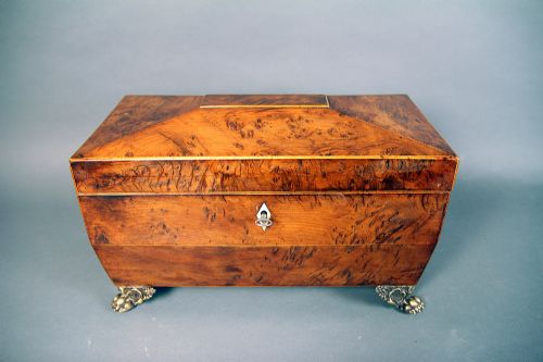 A REGENCY BURR YEWWOOD TEA CADDY - ADDITIONAL PHOTO 1