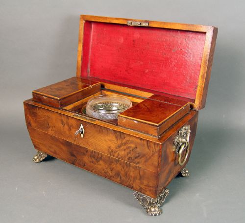 A REGENCY BURR YEWWOOD TEA CADDY - ADDITIONAL PHOTO 3