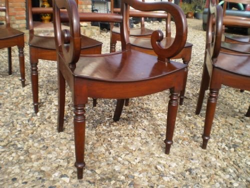 fig 3. Chairs Victorian Mahogany1840 James Ditcham East Anglia