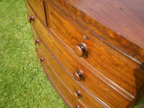 fig 4. Chest of drawers George IV Mahogany bowfront c1820
Please wait
Image not available
* Enlarge
Chest of drawers George IV Mahogany bowfront c1820