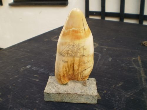 Scrimshaw Sperm Whale Tooth Hull on Shagreen Base.