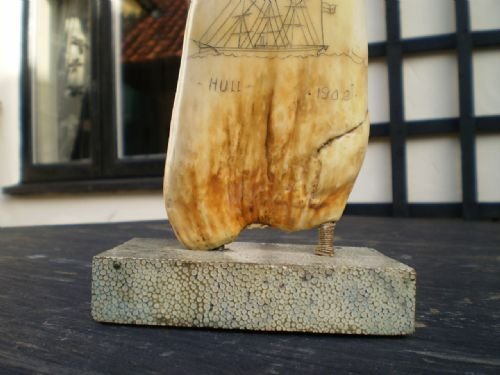 fig 4. Scrimshaw Sperm whale tooth Hull on Shagreen base.
