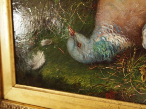 fig 2. Painting Oil on canvas Robert Hudson Snr 1826-1888 'Dead Pigeon'