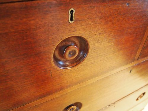 fig 3. Chest of drawers Military Campaign rare naval George IV Camphor wood c1820 small size