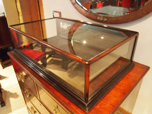 fig 1. Cabinet display haberdashery Victorian Mahogany c1880