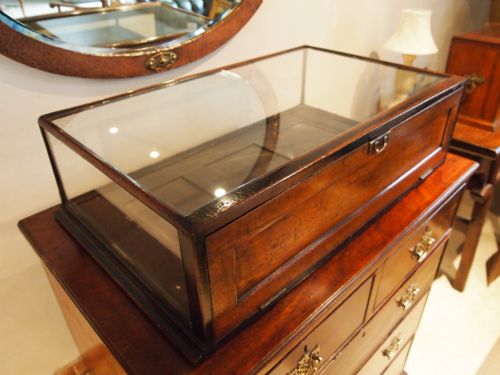 fig 2. Cabinet display haberdashery Victorian Mahogany c1880