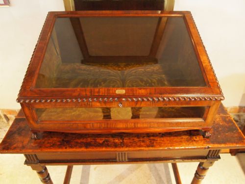 fig 1. Display case cabinet bijouterie display Victorian Walnut fine quality c1880