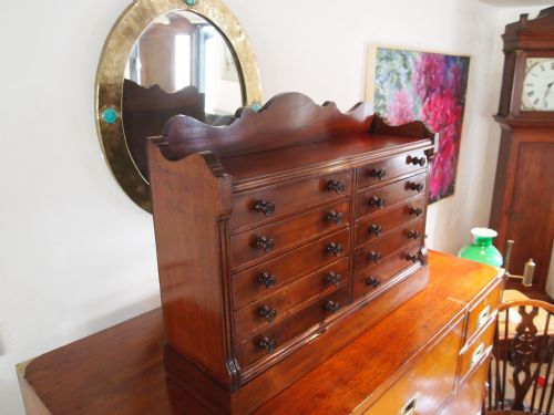 Chest of Drawers Collectors Specimen Chest Victorian Walnut C1880