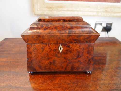 fig 2. Tea caddy rare George IV burr Yew sarcophagus shape 1820