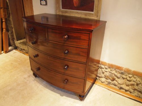 fig 1. Chest of drawers early Victorian Mahogany bowfront c1840