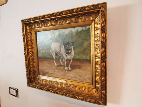 fig 2. Painting oil on Canvas Pug dog 'Pugin' Edwardian Frank Page d1904