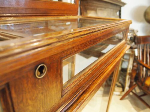 CABINET DISPLAY RARE VICTORIAN OAK SHOP COLLECTORS C1880 - ADDITIONAL PHOTO 8