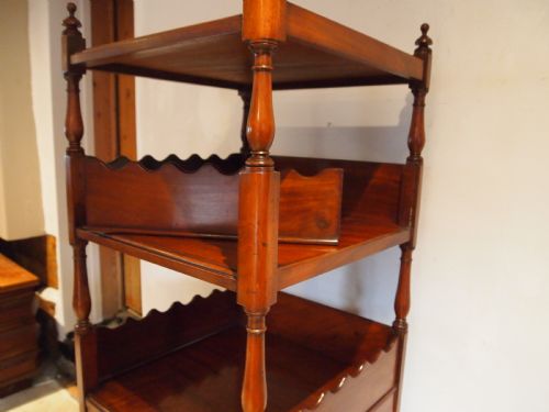 RARE GEORGE IV MAHOGANY BOOK CASE OR WOTNOT SEAGO FAMILY C1825 - ADDITIONAL PHOTO 7