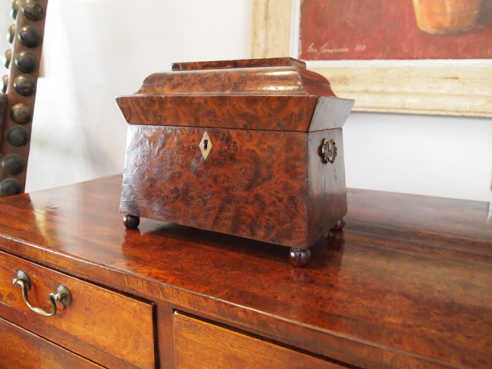 Tea caddy rare George IV burr Yew sarcophagus shape 1820
