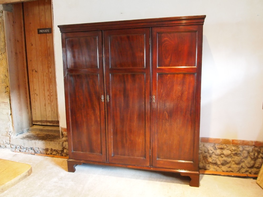 Cupboard bookcase George III Mahogany slim hall cupboard c1800