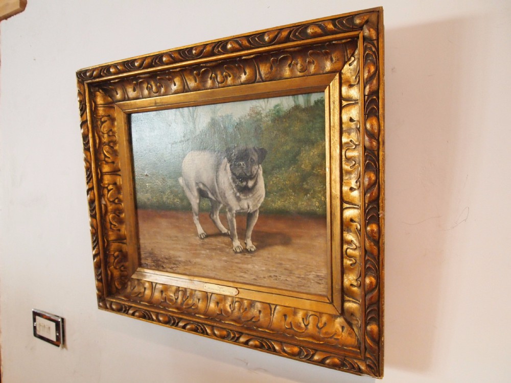 Painting oil on Canvas Pug dog 'Pugin' Edwardian Frank Page d1904 View III
