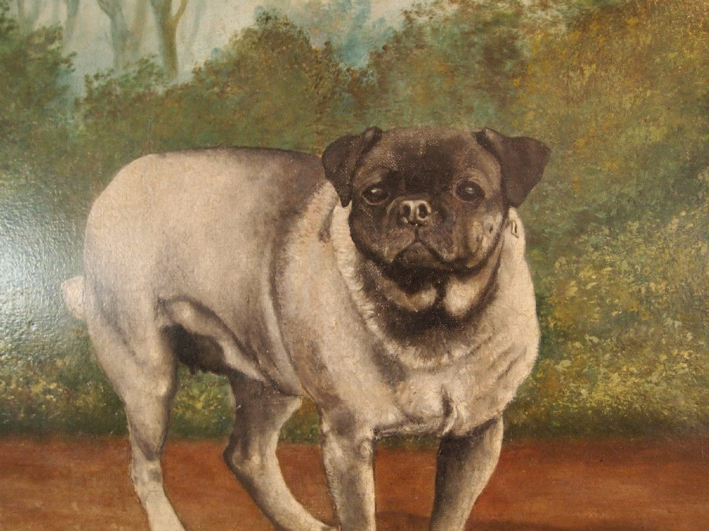 Painting oil on Canvas Pug dog 'Pugin' Edwardian Frank Page d1904 View V
