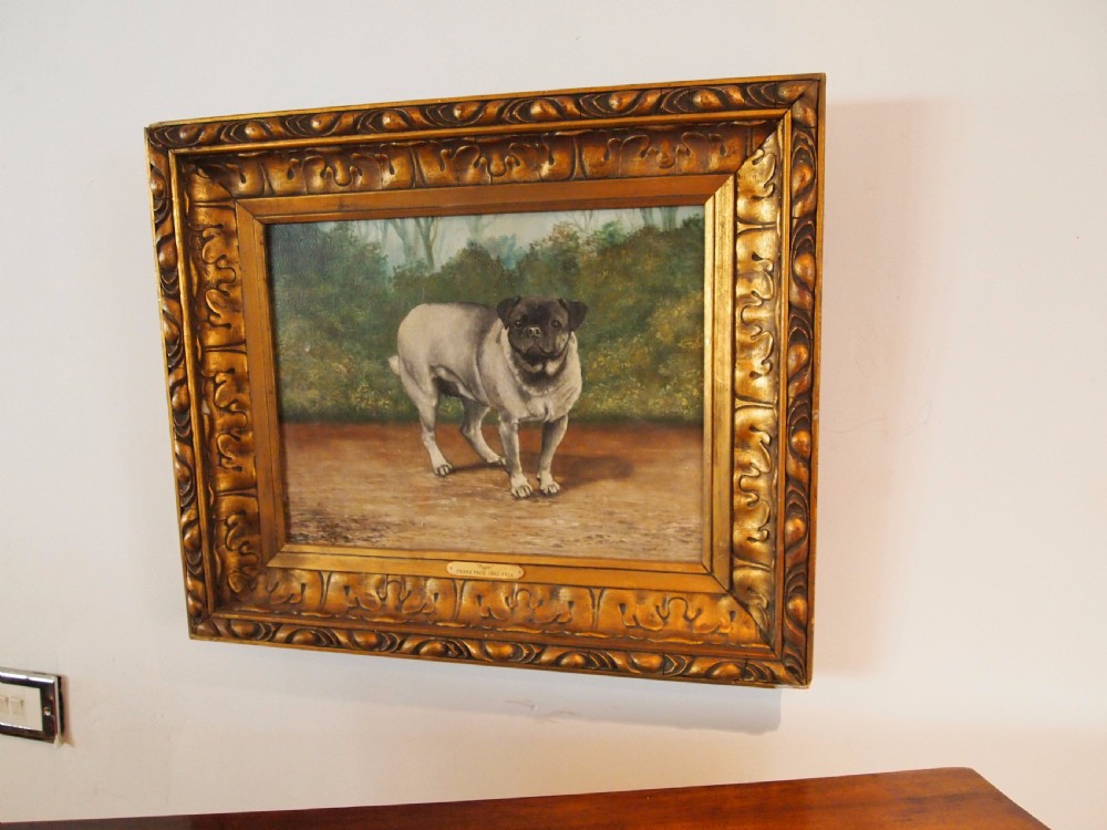 Painting oil on Canvas Pug dog 'Pugin' Edwardian Frank Page d1904 View VI