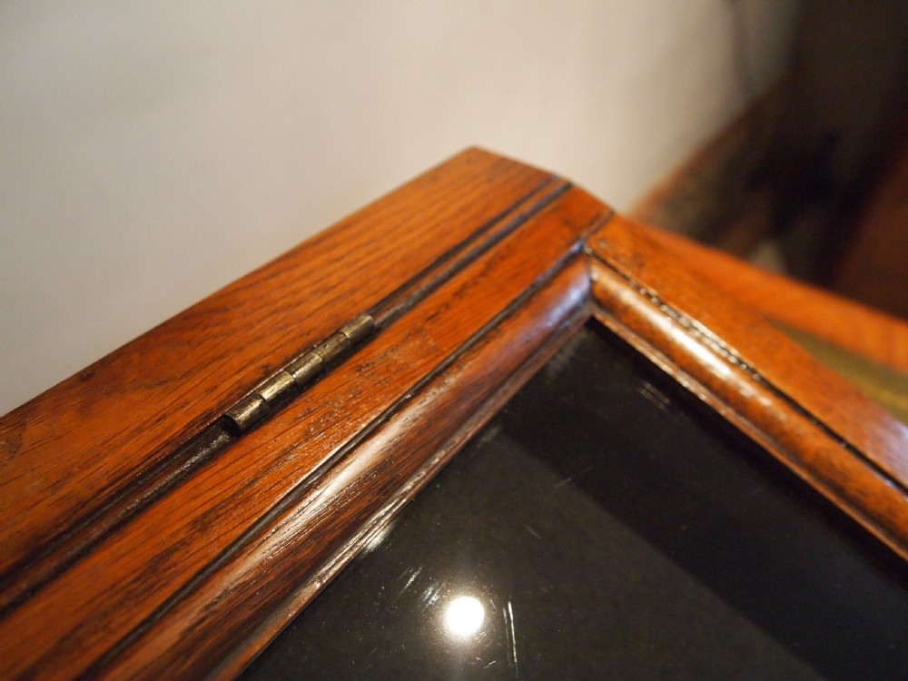 Cabinet display shop haberdashery bijouterie Victorian Oak c1890 View IV