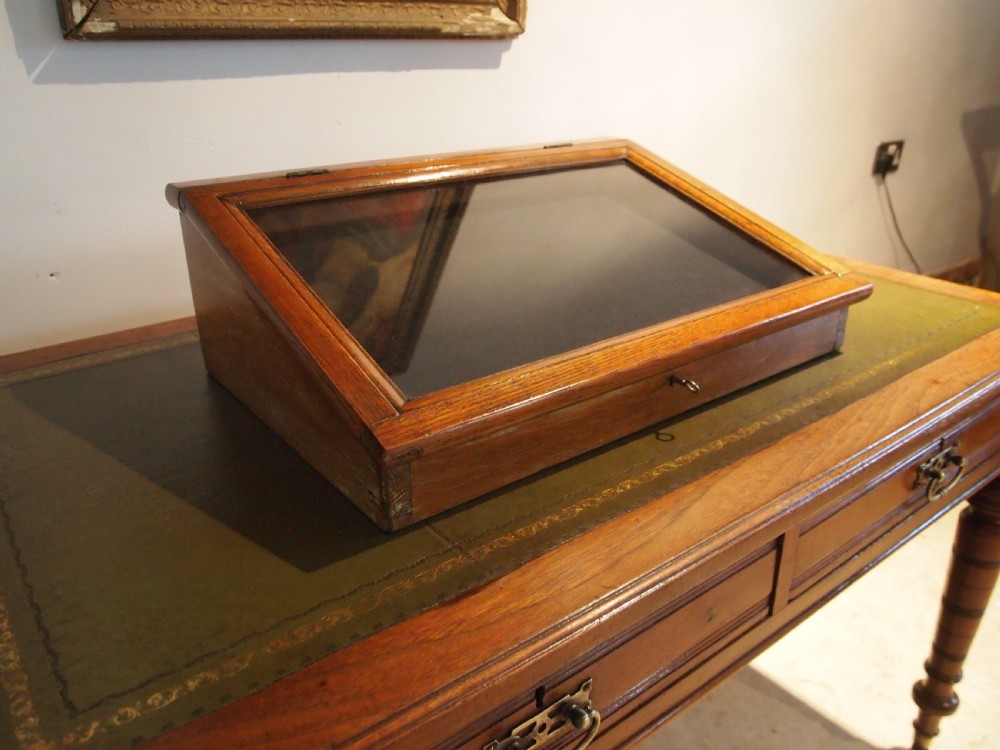 Cabinet display shop haberdashery bijouterie Victorian Oak c1890 View V