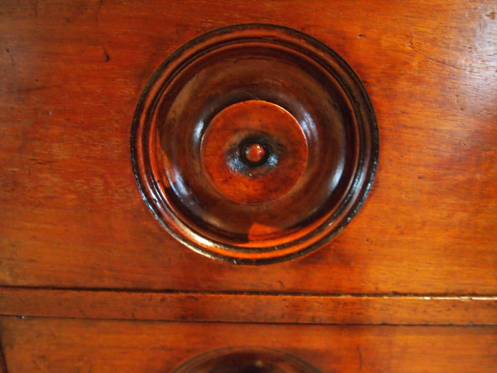 Chest of drawers apothecary chemist pharmacy Victorian Mahogany c1860 View VI