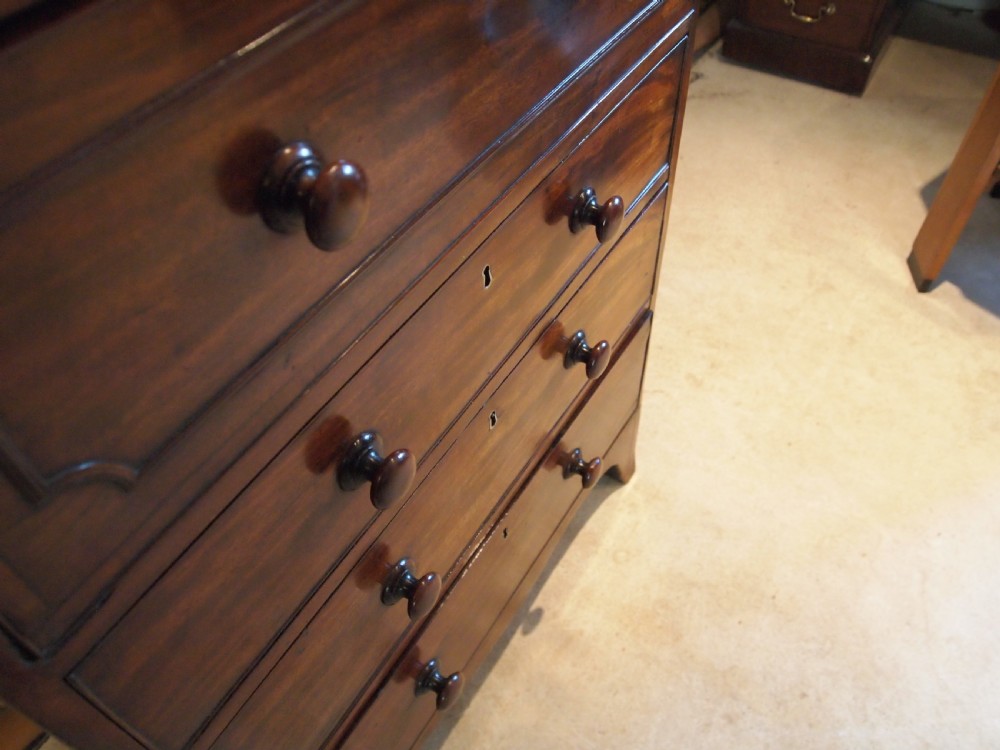 Chest of drawers very rare small secretaire Mahogany c1820 View III