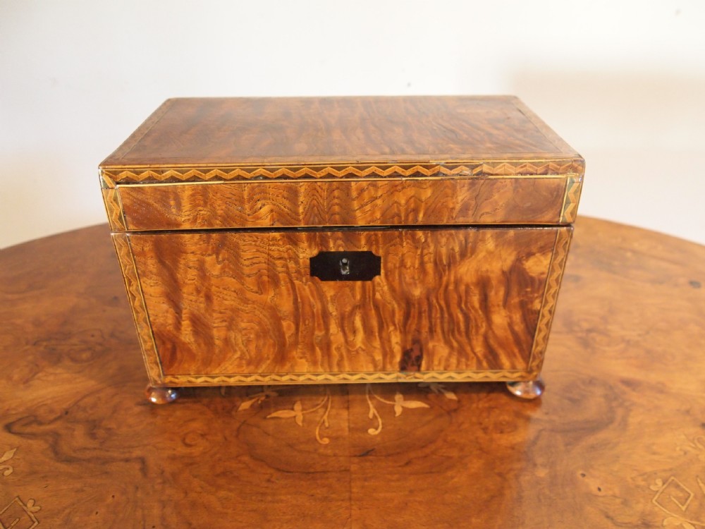 Tea Caddy Very fine and rare Burr Elm original bowl George IV c1825 View X