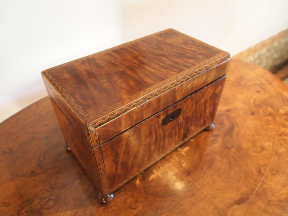 Tea Caddy Very fine and rare Burr Elm original bowl George IV c1825 View XII