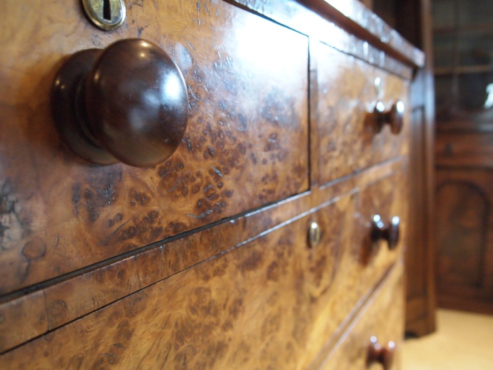 Chest of drawers outstanding very Rare Victorian Burr Oak c1850 View IV