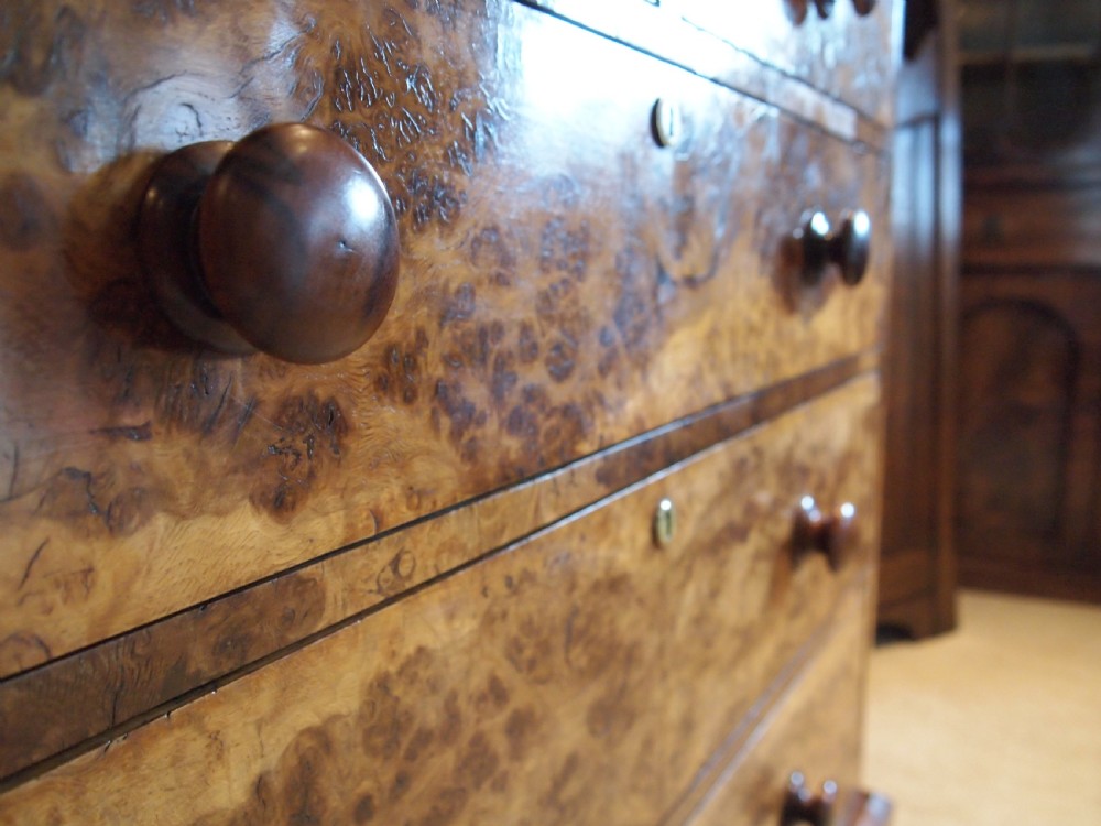 Chest of drawers outstanding very Rare Victorian Burr Oak c1850 View XIII