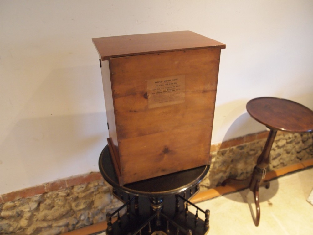 Very Rare James Gardner Collectors chest of drawers Mahogany c1890 View VIII
