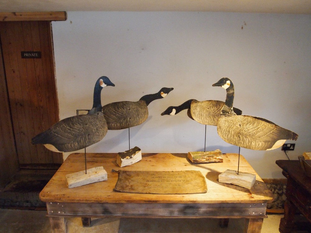 Decoy Geese rare WM R Johnson Seattle Wax card large c1920 View IV