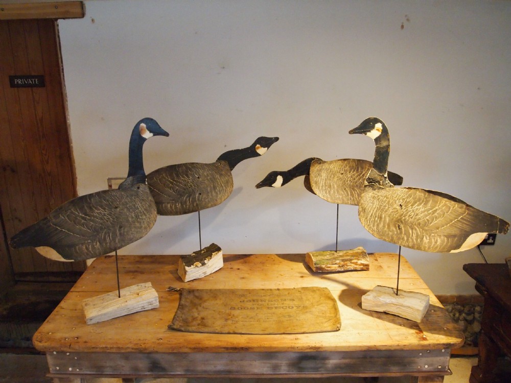 Decoy Geese rare WM R Johnson Seattle Wax card large c1920 View IX