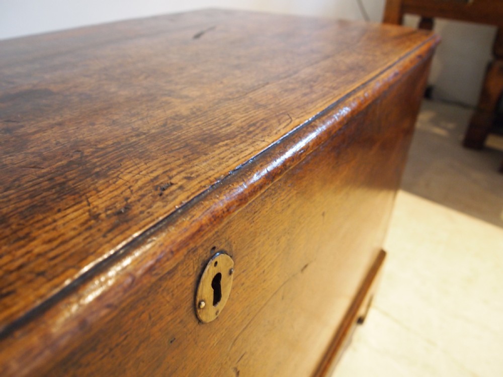Coffer chest trunk Beautiful George III Oak and Elm c1780 View VIII