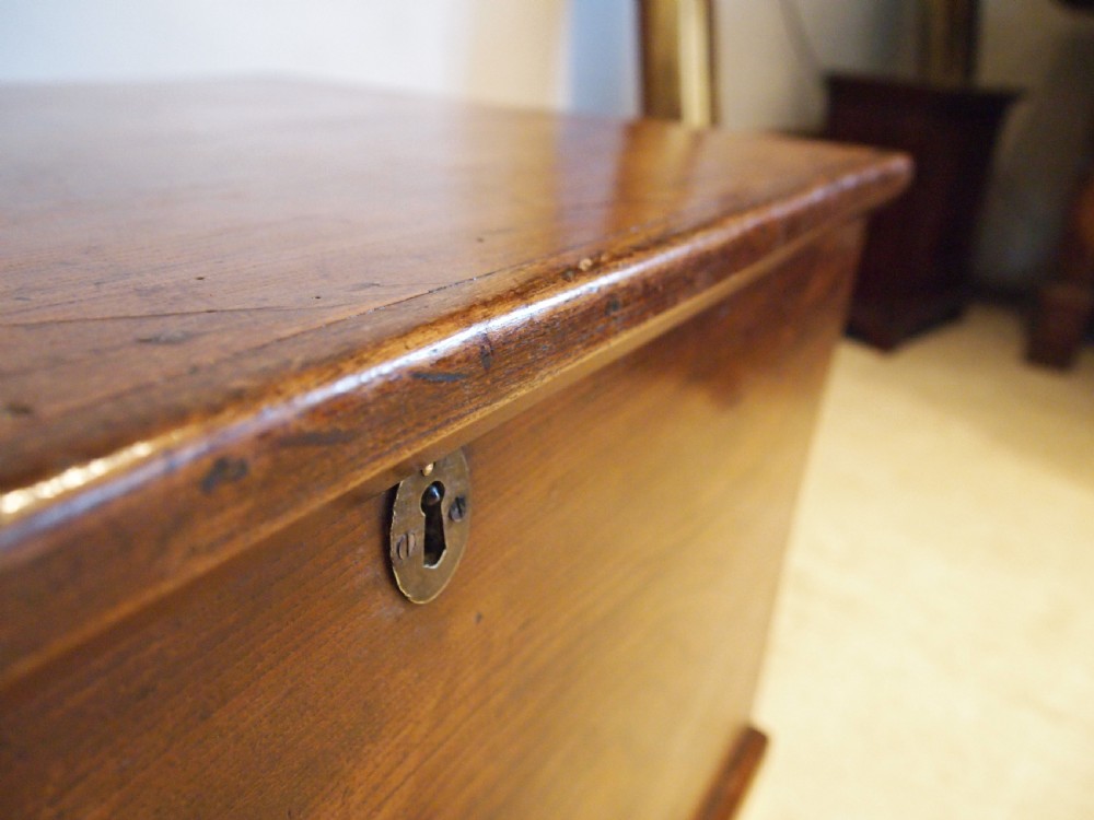 Chest trunk coffer blanket box George III Elm c1800 View IX