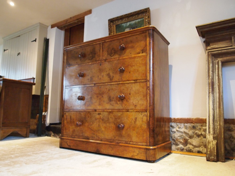 Chest of drawers finest Burr Walnut Victorian chest London c1860 View VI