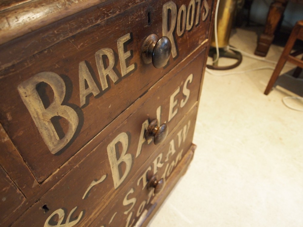Chest of drawers Cupboard press Victorian pantry c1850 View XIII