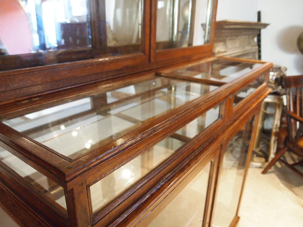 Cabinet display rare Victorian Oak shop collectors c1880 View IV