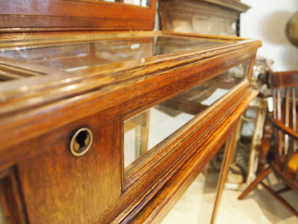 Cabinet display rare Victorian Oak shop collectors c1880 View IX