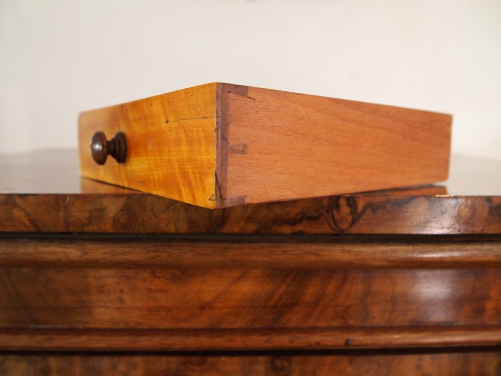 Chest of drawers rare Wellington secretaire and cupboard Burr Walnut c1860 View VI