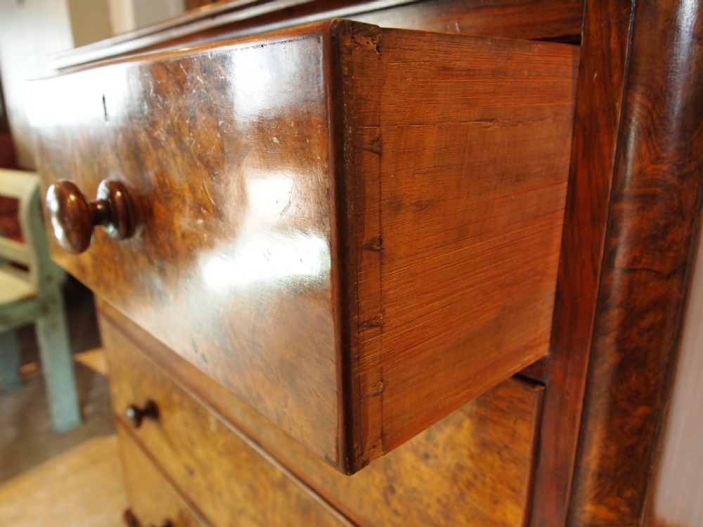 Chest of drawers fine Burr Walnut Victorian c1860 View III
