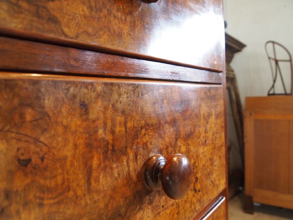 Chest of drawers fine Burr Walnut Victorian c1860 View IV