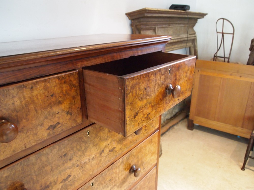Chest of drawers fine Burr Walnut Victorian c1860 View VI