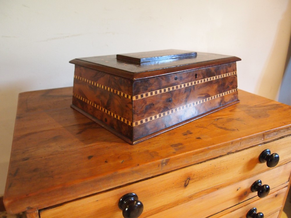 Box Rare Killarney Yew wood jewellery sewing sarcophagus shape c1870 View VI