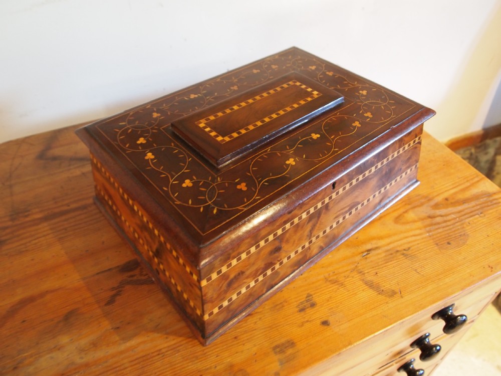 Box Rare Killarney Yew wood jewellery sewing sarcophagus shape c1870 View VII