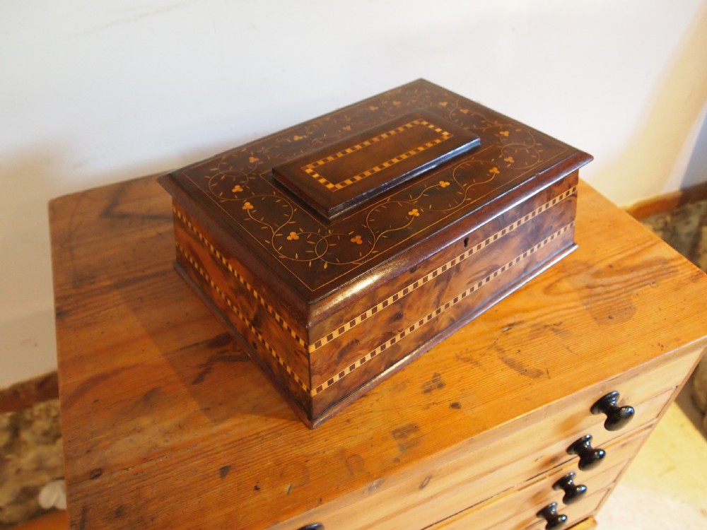 Box Rare Killarney Yew wood jewellery sewing sarcophagus shape c1870 View VIII