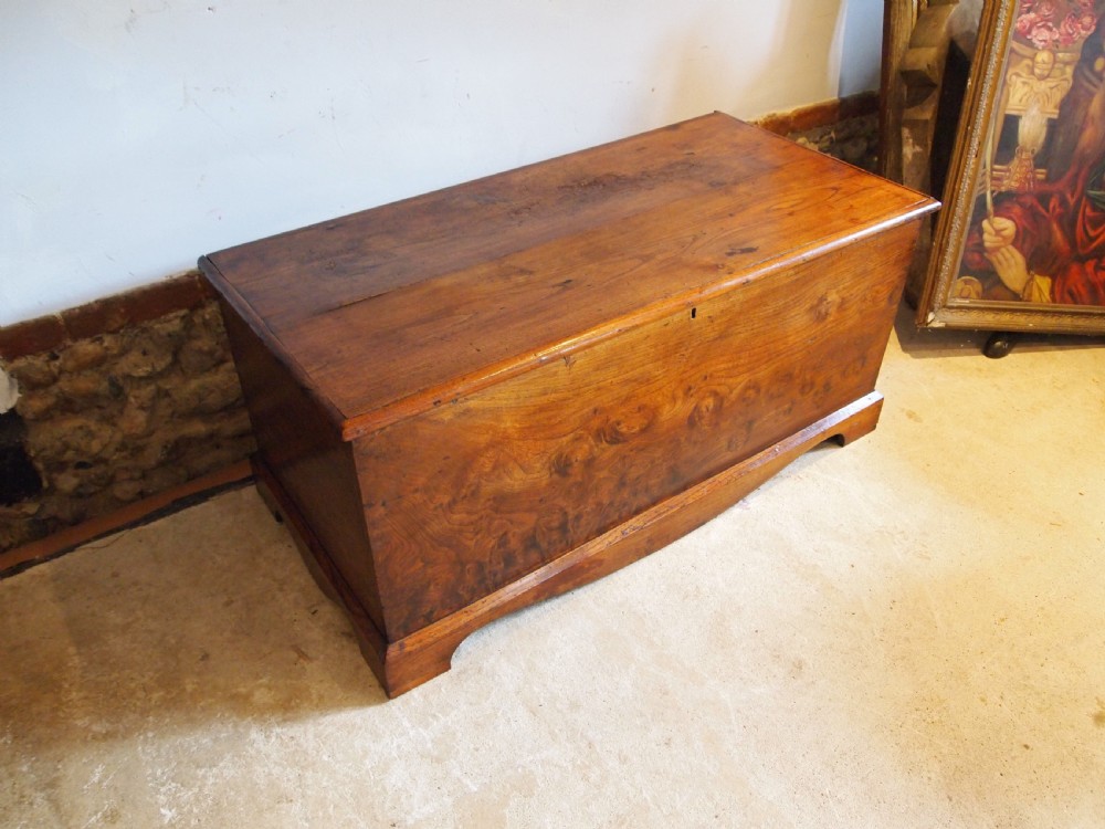 Rare George III Burr Elm trunk chest box c1800