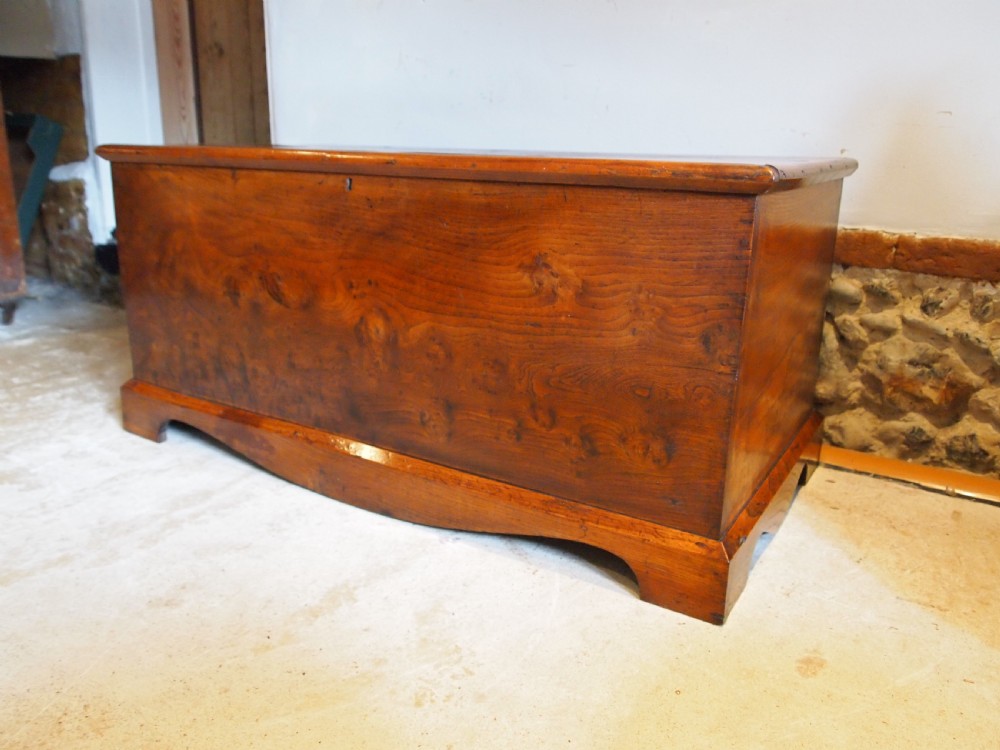Rare George III Burr Elm trunk chest box c1800 View V
